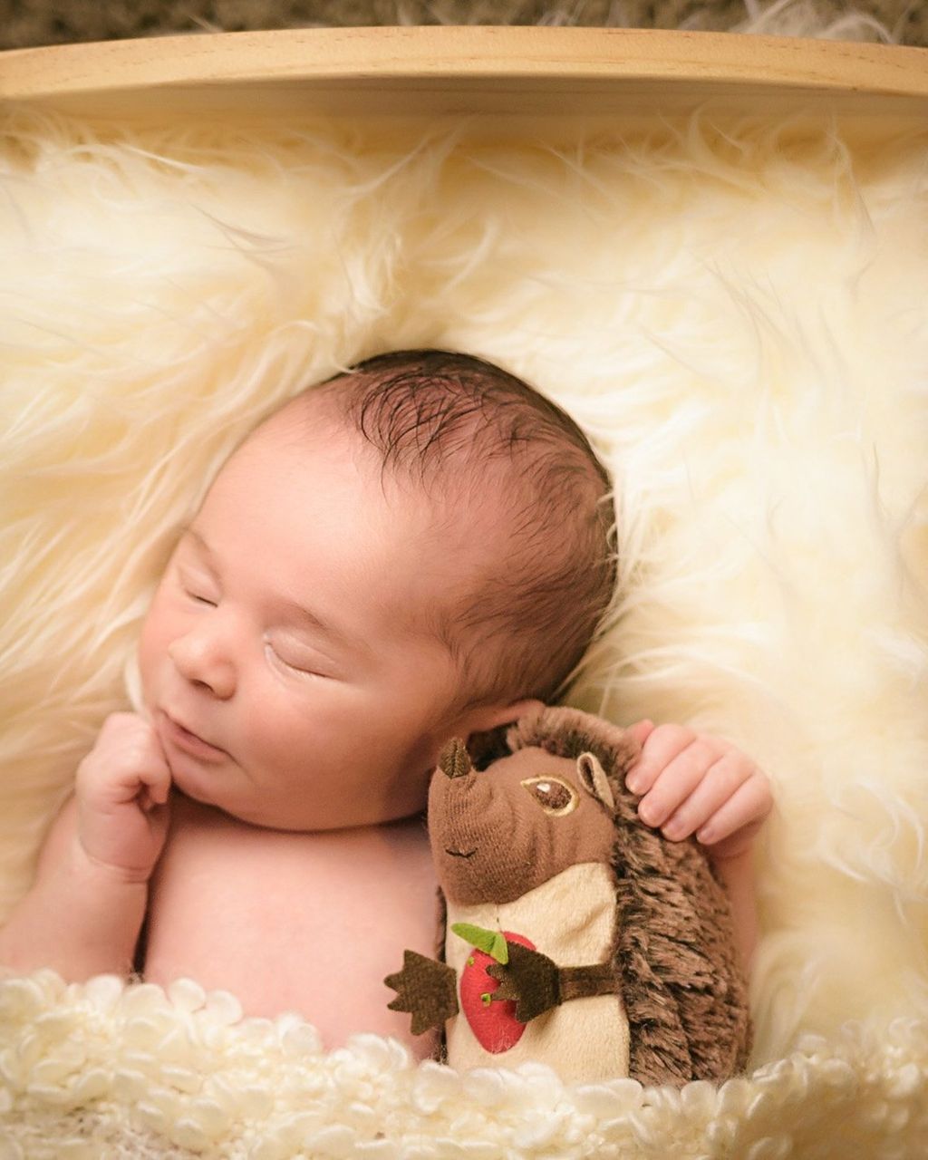 Servizio fotografico newborn Roma — neonato addormentato, set fotografico professionale
